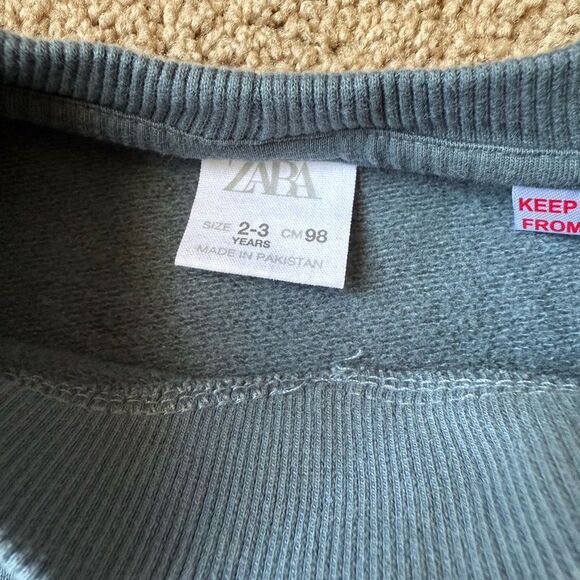 Zara Faded Blue Toddler Sweatshirt Size 2-3Y - Picture 4 of 4